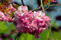 Stylized Cherry Blossom Cluster